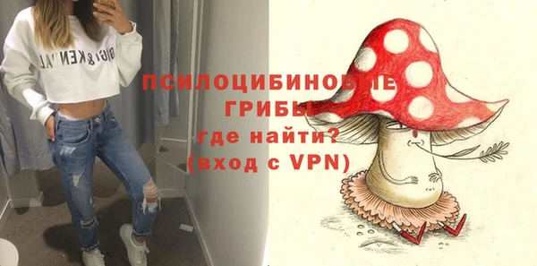 не бодяженный Лабытнанги