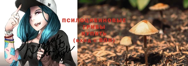 не бодяженный Лабытнанги
