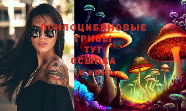не бодяженный Лабытнанги
