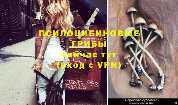 винт Ладушкин